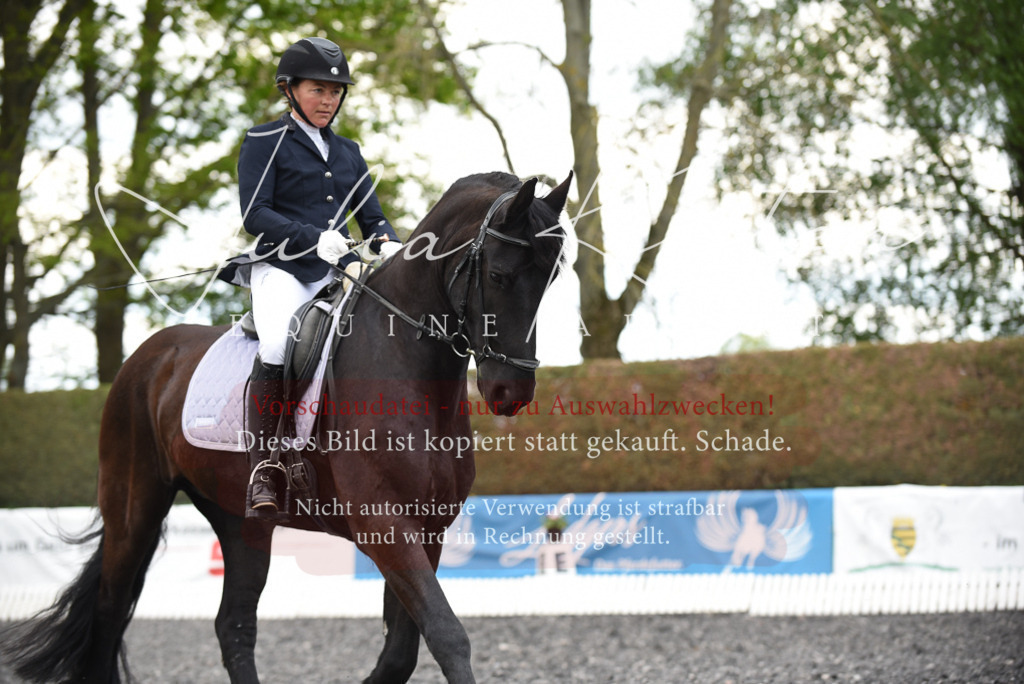 20230513_JK-Röhrsdorf-15-036 | Pferde- und Turnierfotografie in Westsachsen. Pferdeportraits, Auftragszeichnungen und intuitive Kunst.