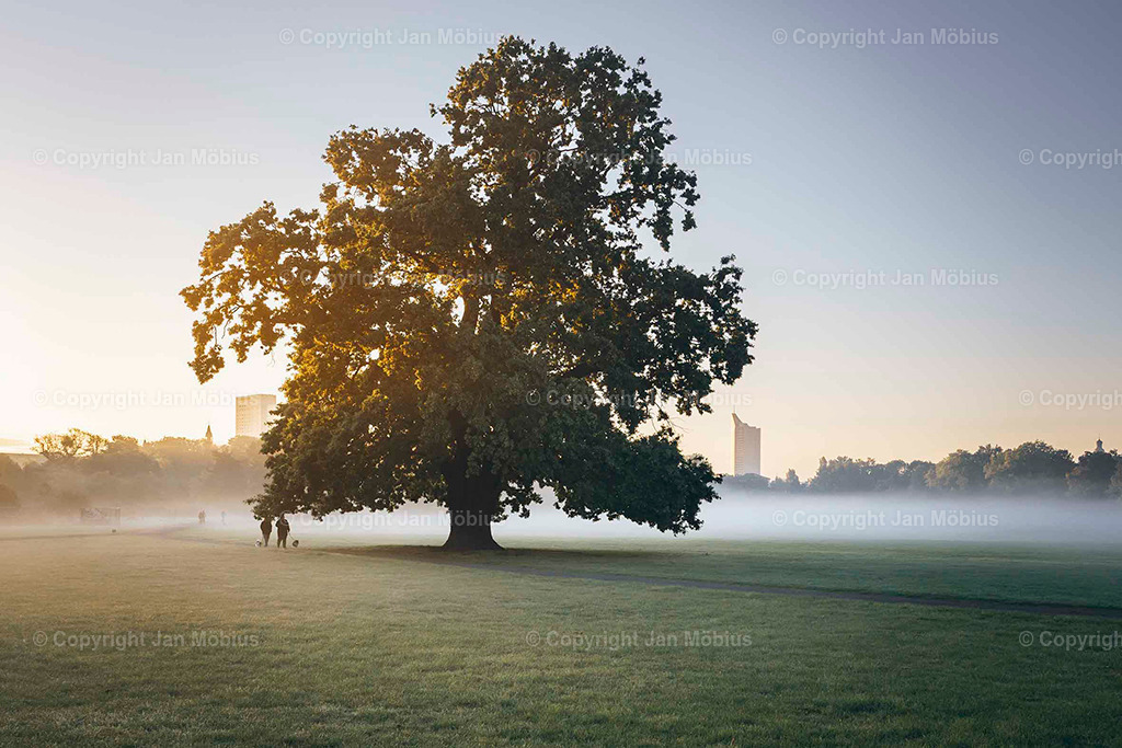 Rosental | Das Rosental in Leipzig ist eine grüne Oase mitten in der Stadt – perfekt für Spaziergänge, Joggingrunden, Picknicks und Naturerlebnisse. Mit weiten Wiesen, altem Baumbestand, einem Aussichtsturm und Wildgehege zählt es zu den beliebtesten Erholungsgebieten Leipzigs. - Realisiert mit Pictrs.com