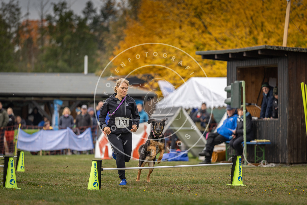 Pfotenfotografie_DV3A5400 | Hundefotografie, Tierfotograf, Pfotenfotografie, Fotoshooting Hund, Hunde Portrait, Hundesport, Hundeportraits, Heideshooting, Hunde, Sportfotograf, Hundefotograf, Turnierhundsport, THS,  - Realisiert mit Pictrs.com