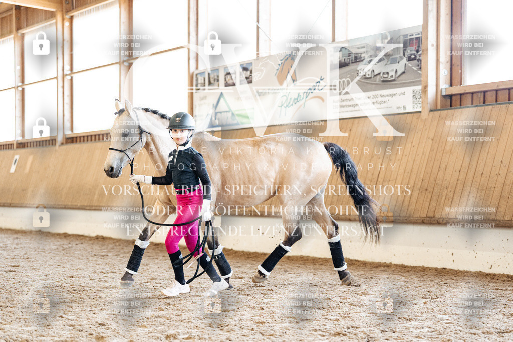 CK907181 | Turnierfotografie Pferdefotografie Trier Rheinland-Pfalz Pferdesport Reitsport Tierfotografie Sportfotografie Pferdevideo Pferdevideografie Equestrianvideography equestrianphotography  - Realisiert mit Pictrs.com