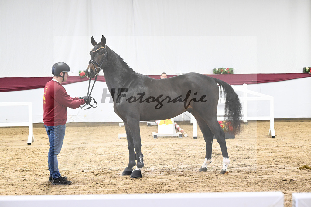 Kat-Nr. 73 Cornets Balou x For Pleasure_Michael Eichler_47252625 | hf-fotografie - Realisiert mit Pictrs.com