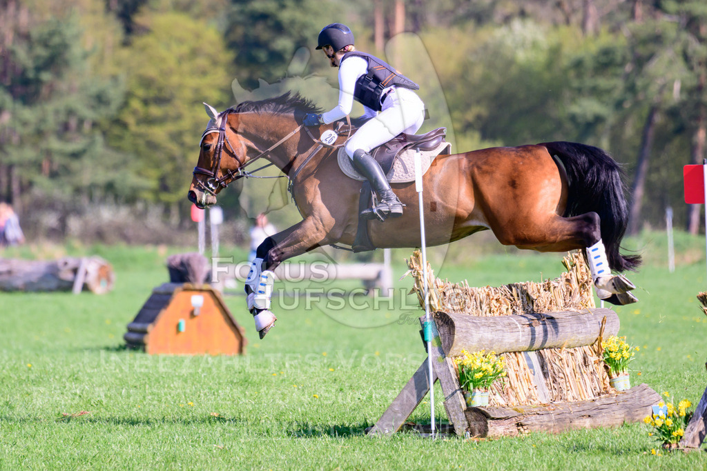 18042026-Gernlinden-03-0466 | Fokus Hufschlag Fotografie - Realisiert mit Pictrs.com