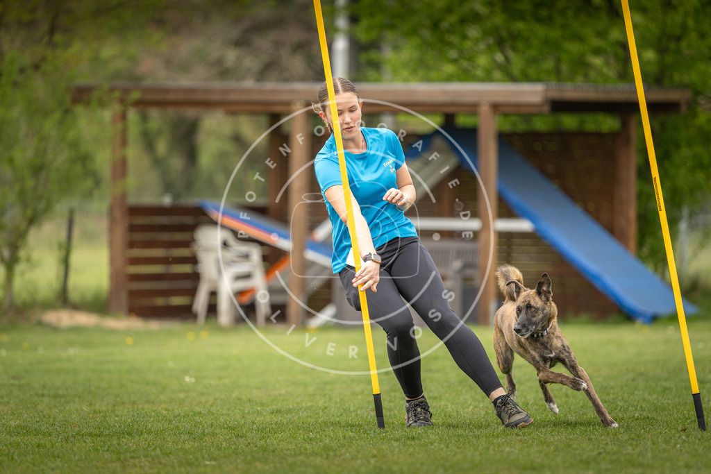 Pfotenfotografie_DV3A1813 | Hundefotografie, Tierfotograf, Pfotenfotografie, Fotoshooting Hund, Hunde Portrait, Hundesport, Hundeportraits, Heideshooting, Hunde, Sportfotograf, Hundefotograf, Turnierhundsport, THS,  - Realisiert mit Pictrs.com