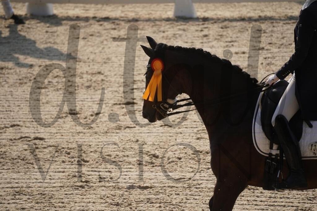 tgbhfreitag (1806) | d.tail Visions - Shop - Realisiert mit Pictrs.com