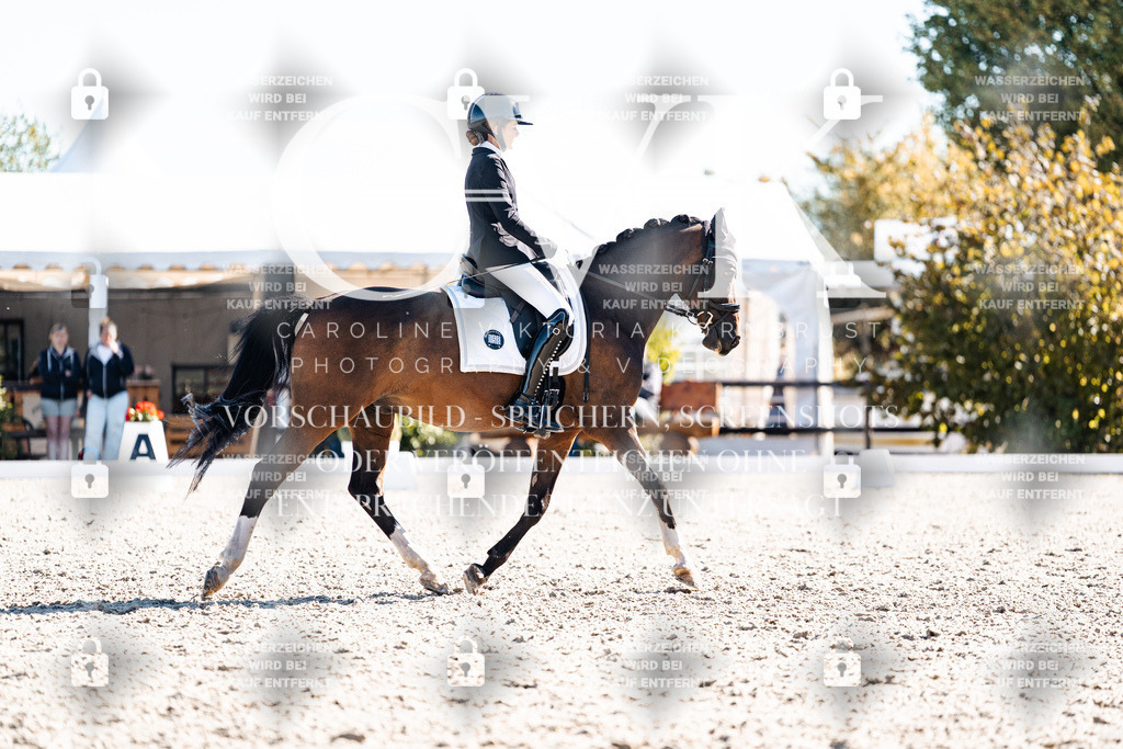 CK908587 | Turnierfotografie Pferdefotografie Trier Rheinland-Pfalz Pferdesport Reitsport Tierfotografie Sportfotografie Pferdevideo Pferdevideografie Equestrianvideography equestrianphotography  - Realisiert mit Pictrs.com