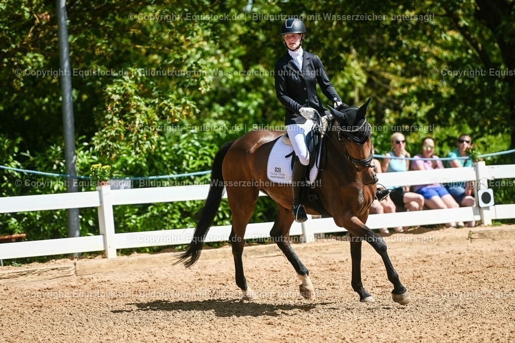 20230715_02_Dressurreiterprüfung Kl.L_0087 | equistock