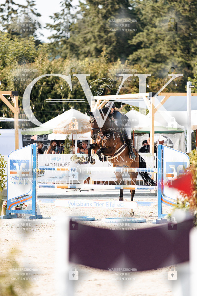 CK902229 | Turnierfotografie Pferdefotografie Trier Rheinland-Pfalz Pferdesport Reitsport Tierfotografie Sportfotografie Pferdevideo Pferdevideografie Equestrianvideography equestrianphotography  - Realisiert mit Pictrs.com