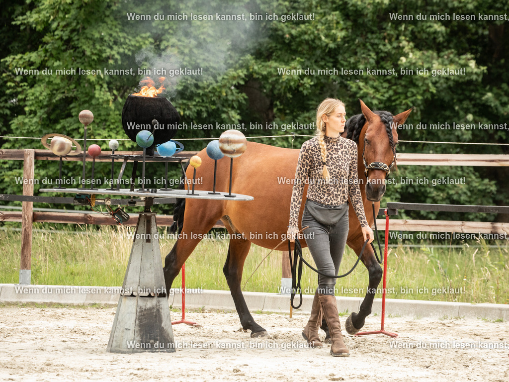 598A6653 | photographylinaismer - Realisiert mit Pictrs.com