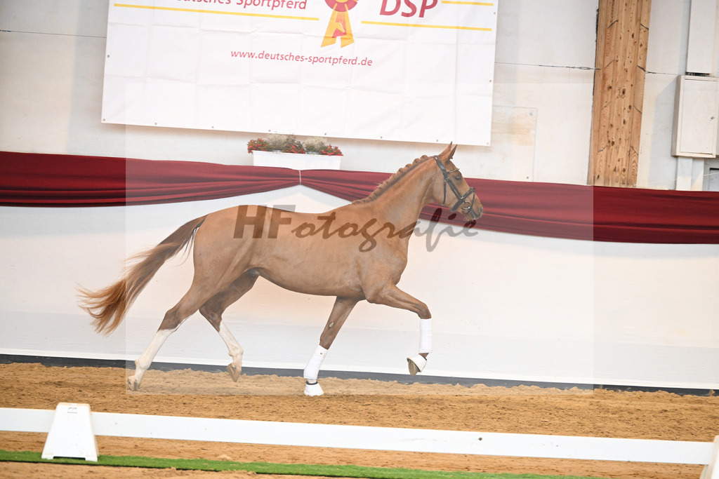 Kat-Nr. 56 v. Vivaldos_Fischer_66220848 | hf-fotografie - Realisiert mit Pictrs.com
