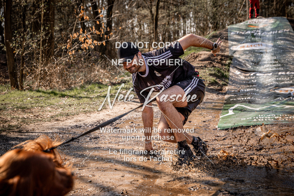 nelerasche_Hulsbeek_So1300-1330_233 | nelerasche