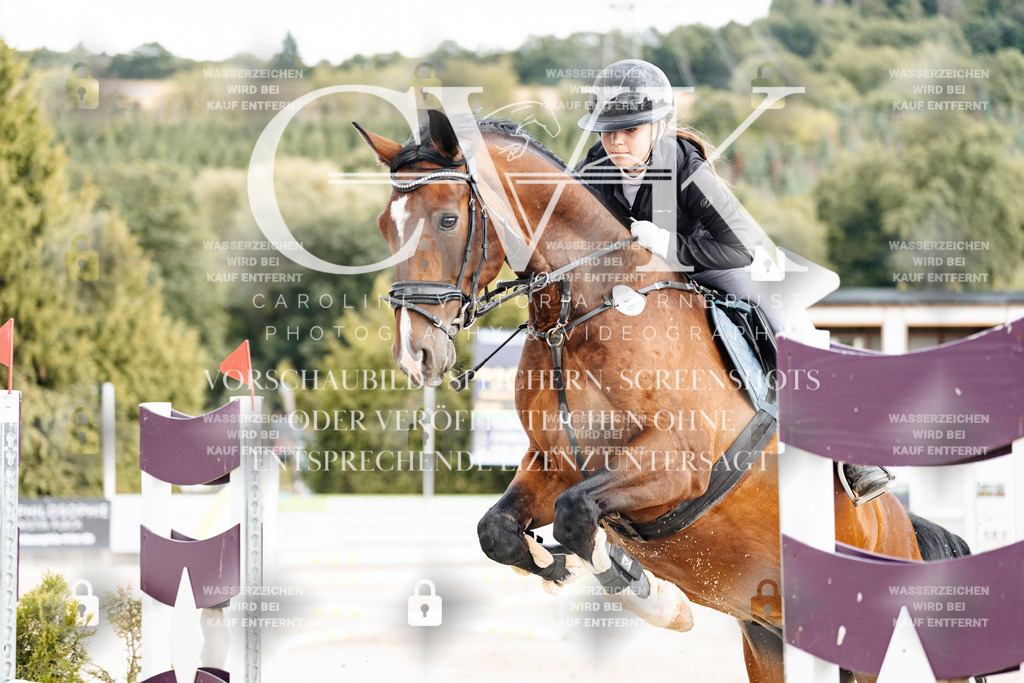 CK902563 | Turnierfotografie Pferdefotografie Trier Rheinland-Pfalz Pferdesport Reitsport Tierfotografie Sportfotografie Pferdevideo Pferdevideografie Equestrianvideography equestrianphotography  - Realisiert mit Pictrs.com