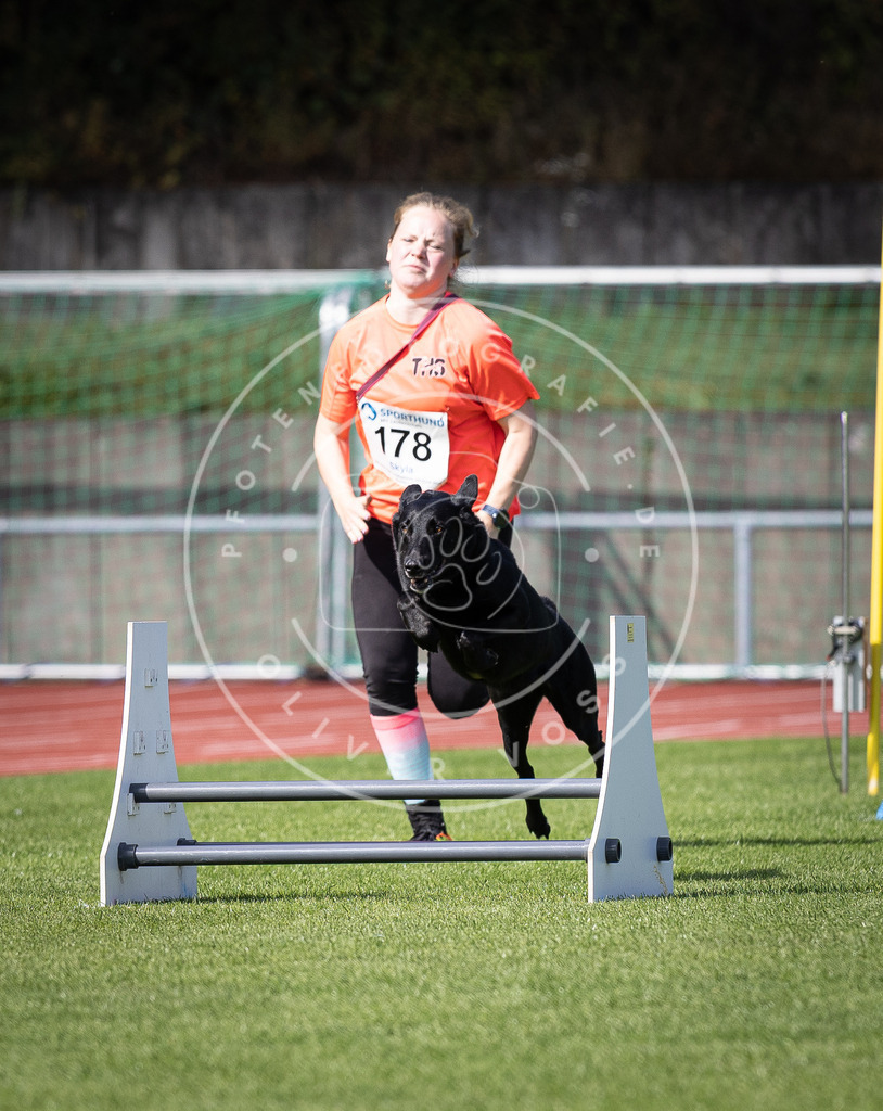 Pfotenfotografie_DV3A0168 | Hundefotografie, Tierfotograf, Pfotenfotografie, Fotoshooting Hund, Hunde Portrait, Hundesport, Hundeportraits, Heideshooting, Hunde, Sportfotograf, Hundefotograf, Turnierhundsport, THS,  - Realisiert mit Pictrs.com