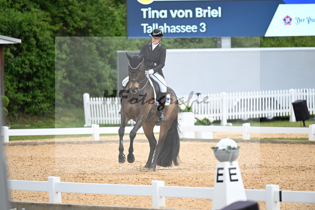 von Briel_Tallahassee_26267209 | hf-fotografie - Realisiert mit Pictrs.com