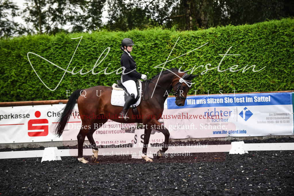 DSC_2701 | Pferde- und Turnierfotografie in Westsachsen. Pferdeportraits, Auftragszeichnungen und intuitive Kunst.