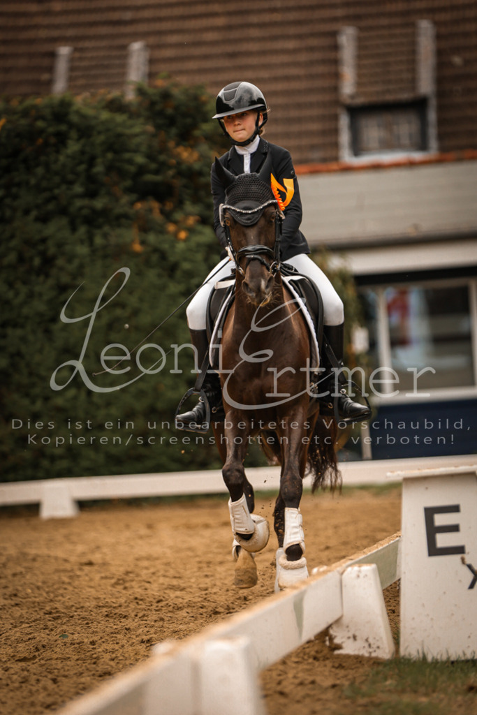 DoDrE00563 | Leoni Ertmer Photography - Realisiert mit Pictrs.com