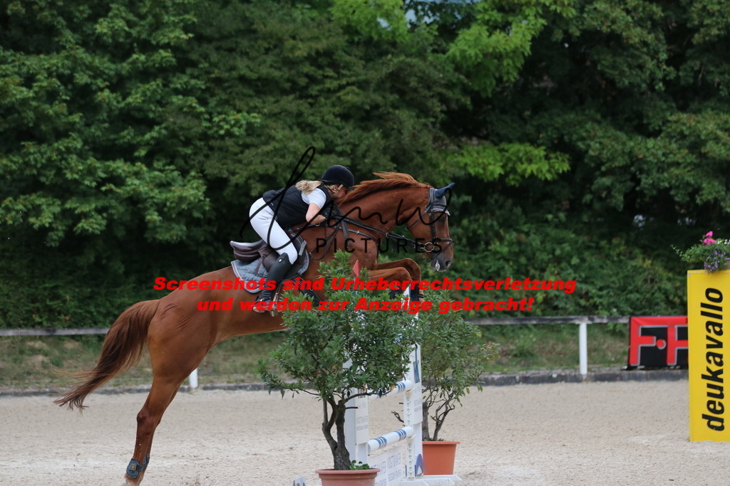 IMG_2929 | lmwpictures - Realisiert mit Pictrs.com