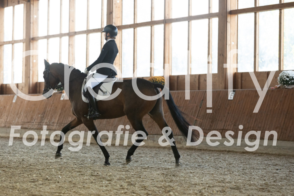 IMG_3752 | Creatify Fotografie
