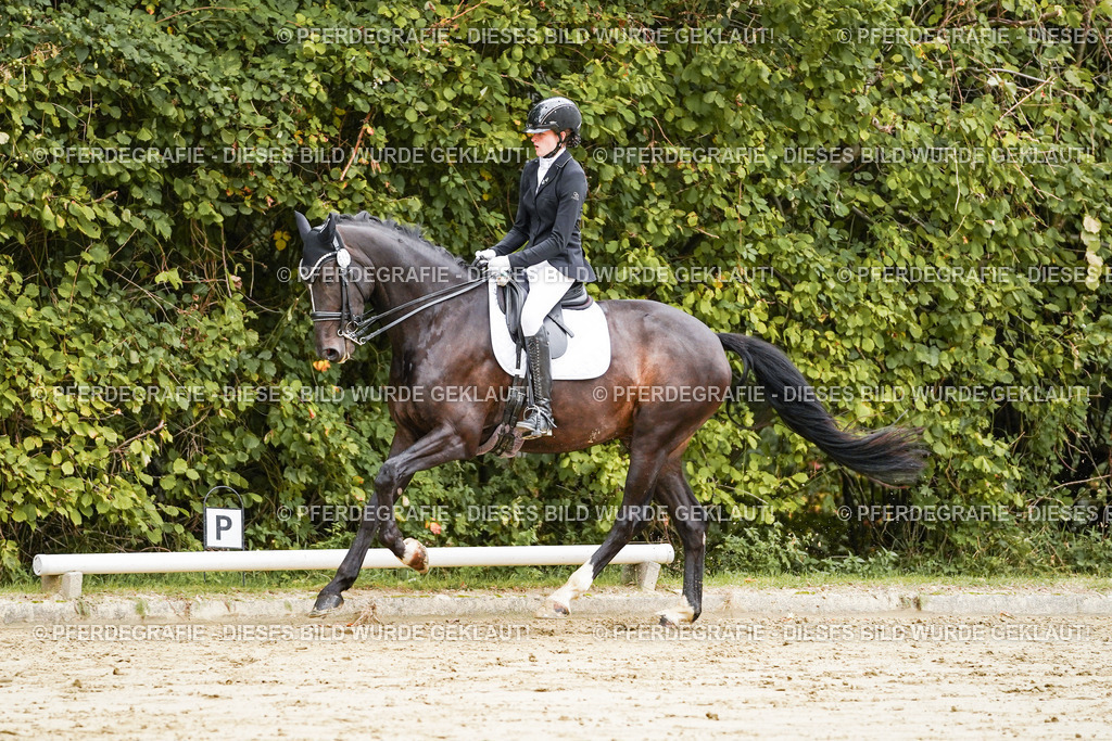 DSC03931 | Pferdegrafie