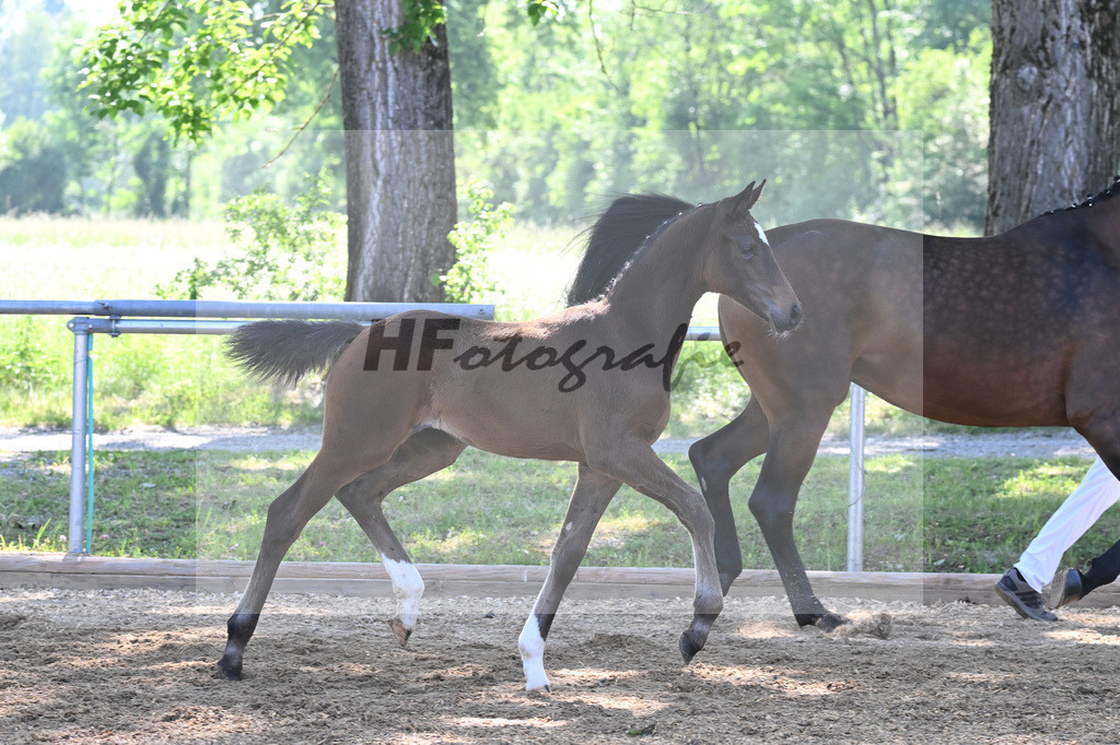 Kat-Nr. 2 SF Skyline to B_Schindele_14230038 | hf-fotografie - Realisiert mit Pictrs.com