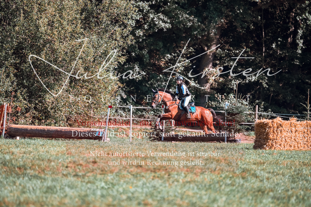 DSC_0738 | Pferde- und Turnierfotografie in Westsachsen. Pferdeportraits, Auftragszeichnungen und intuitive Kunst.