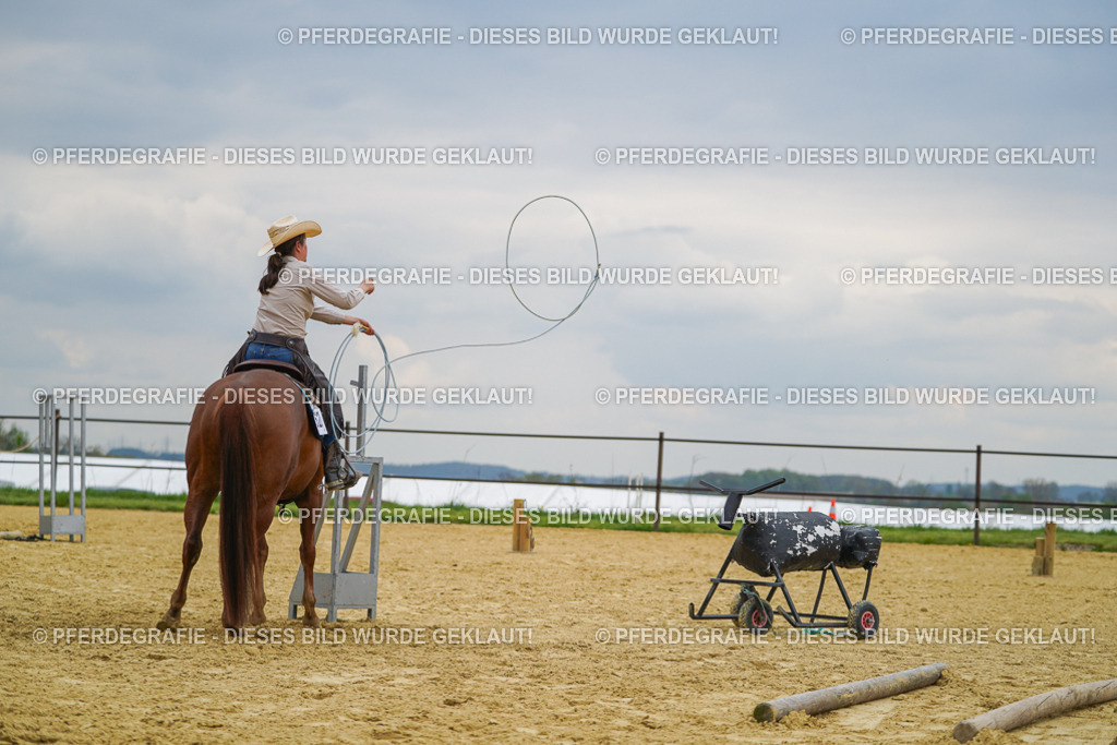 DSC07281 | Pferdegrafie