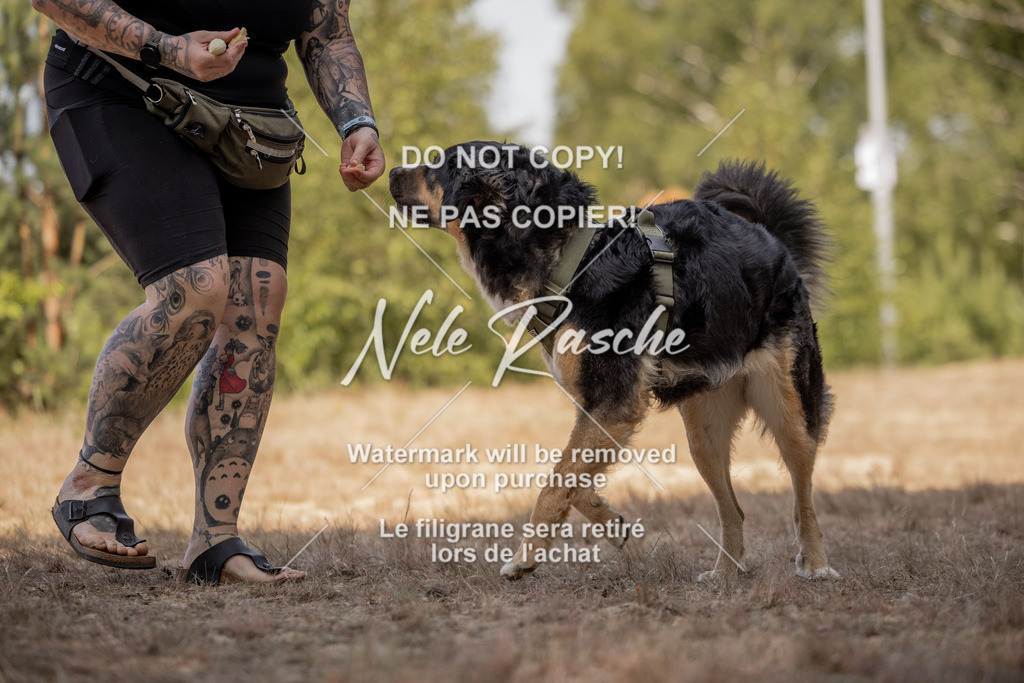 nelerasche_soDD2_238 | nelerasche