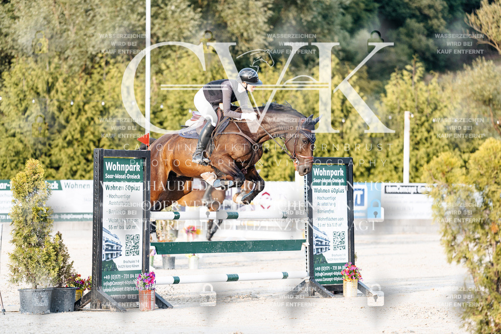 CK900954 | Turnierfotografie Pferdefotografie Trier Rheinland-Pfalz Pferdesport Reitsport Tierfotografie Sportfotografie Pferdevideo Pferdevideografie Equestrianvideography equestrianphotography  - Realisiert mit Pictrs.com