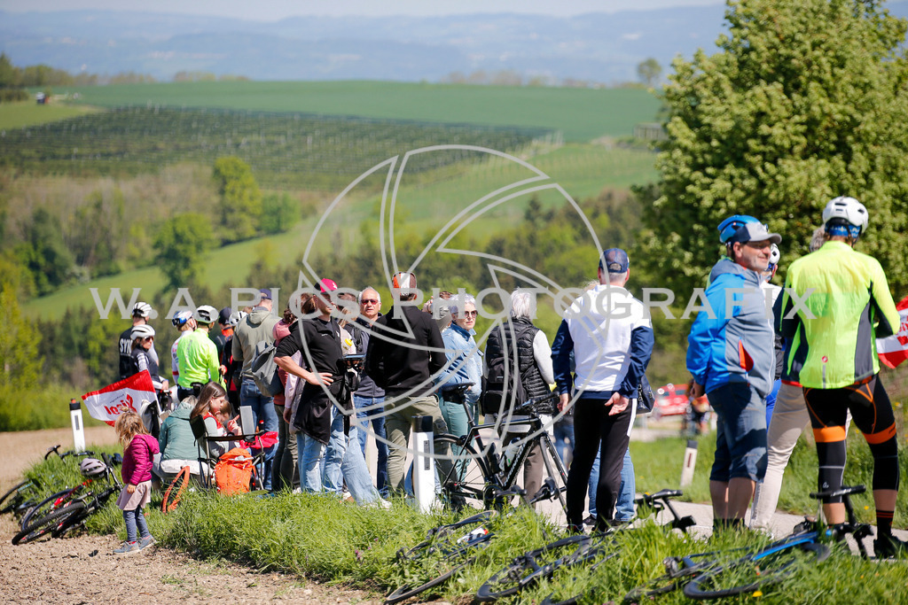 ..... | WELS, AUSTRIA, 27.April 24, 63 RAIFFEISEN KIRSCHBLÜTENRENNEN, Image shows: Photo: WAPICS / Andreas Willdoner