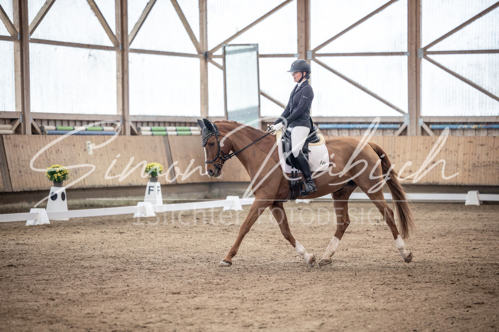 20251011-_3LI9752 | Tierfotografie Pferde, Hunde, Katzen, Haustiere.
Turnierfotografie Reitturniere, Reiten, Springreiten, Dressur in Hanau, dem Main-Kinzig-Kreis und dem Rhein-Main- Gebiet um Frankfurt