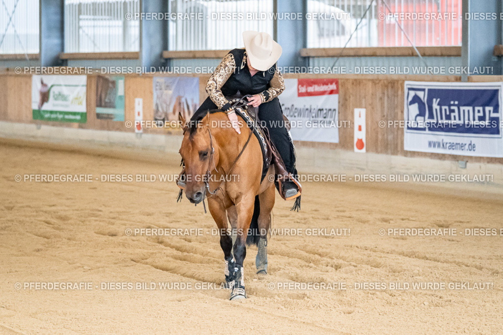 DSC08179 | Pferdegrafie