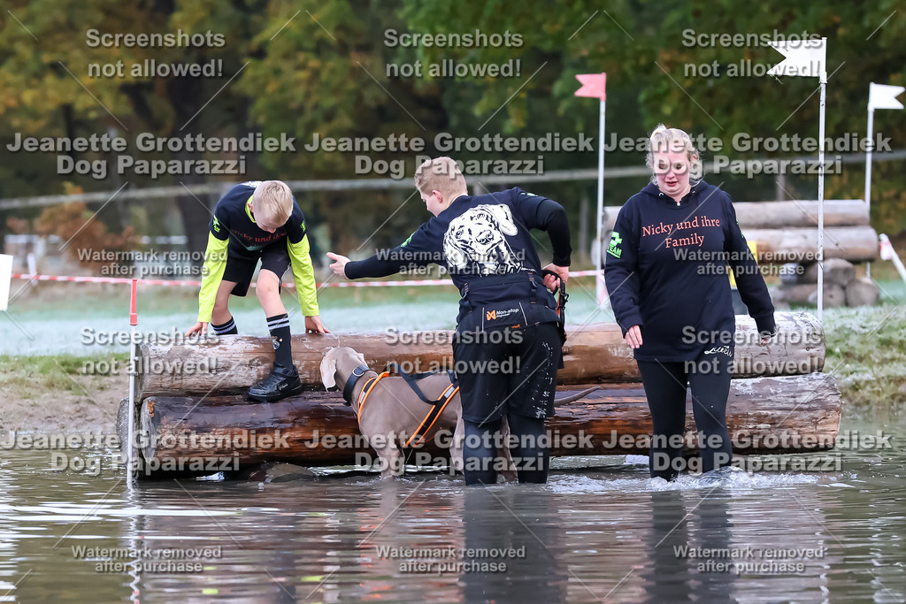 Dog Paparazzi - Strongdog 10-25-6138 | Dog Paparazzi Jeanette Grottendiek Fotografie & Videografie - Realisiert mit Pictrs.com