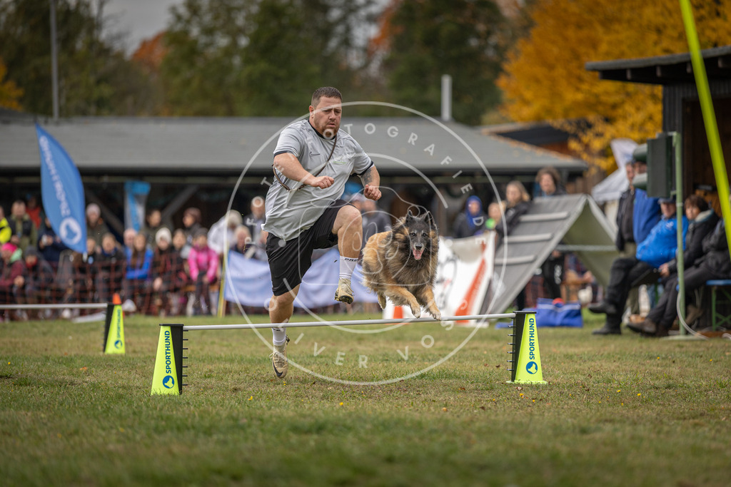 Pfotenfotografie_DV3A7964 | Hundefotografie, Tierfotograf, Pfotenfotografie, Fotoshooting Hund, Hunde Portrait, Hundesport, Hundeportraits, Heideshooting, Hunde, Sportfotograf, Hundefotograf, Turnierhundsport, THS,  - Realisiert mit Pictrs.com