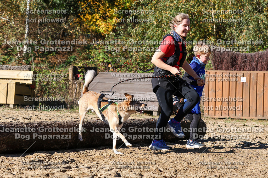 Dog Paparazzi - Strongdog 10-25-2315 | Dog Paparazzi Jeanette Grottendiek Fotografie & Videografie - Realisiert mit Pictrs.com