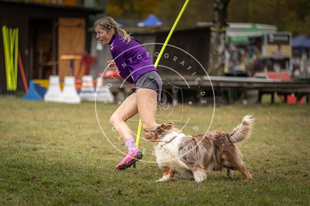 Pfotenfotografie_DV3A7381 | Hundefotografie, Tierfotograf, Pfotenfotografie, Fotoshooting Hund, Hunde Portrait, Hundesport, Hundeportraits, Heideshooting, Hunde, Sportfotograf, Hundefotograf, Turnierhundsport, THS,  - Realisiert mit Pictrs.com