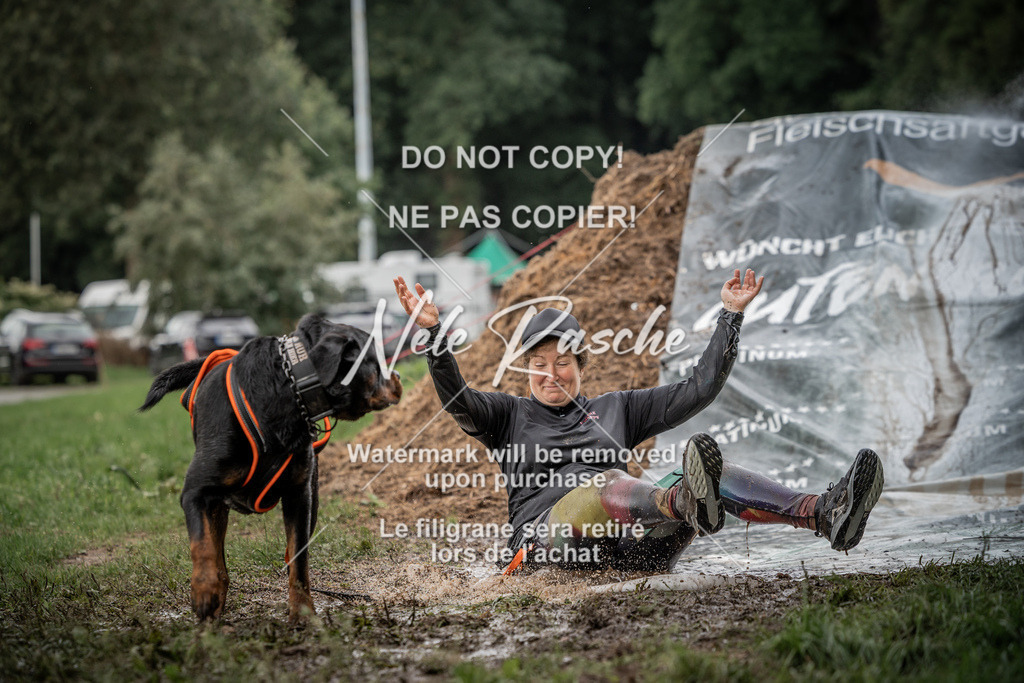 nelerasche_Wingst_Sa1300-1330_401 | nelerasche