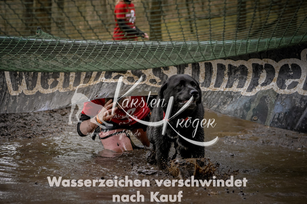 1010_ZZ99985 | kk-dogfotos