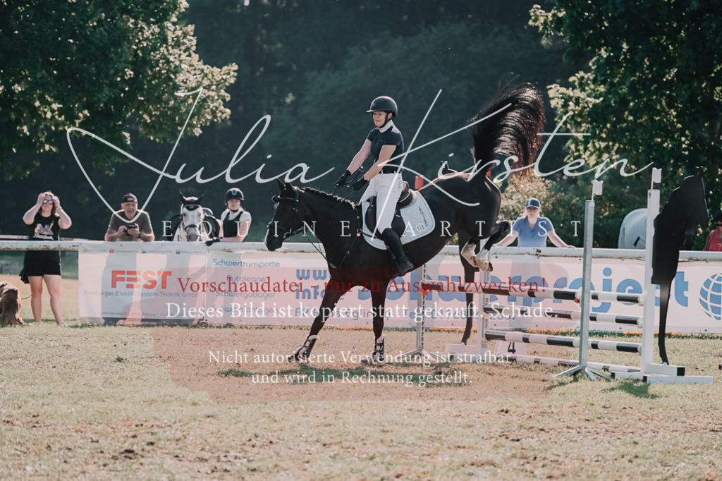 DSC_4705 | Pferde- und Turnierfotografie in Westsachsen. Pferdeportraits, Auftragszeichnungen und intuitive Kunst.