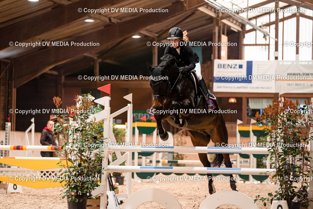 Springen Tag 3-086 | dv-media-shop - Realisiert mit Pictrs.com