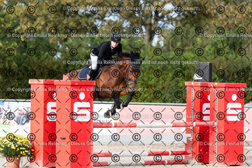 CL5A0318 | Emilia Reinking Fotografie - Realisiert mit Pictrs.com