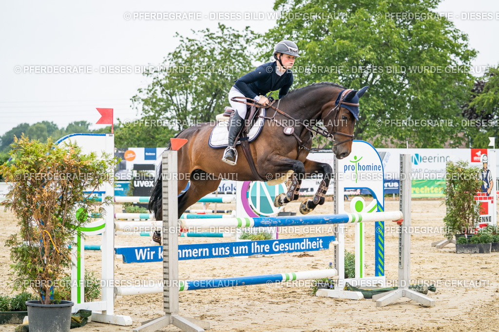 DSC00115 | Pferdegrafie