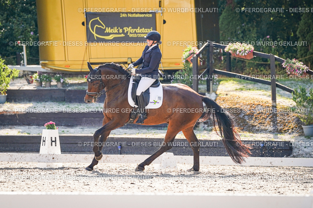 DSC09712 | Pferdegrafie