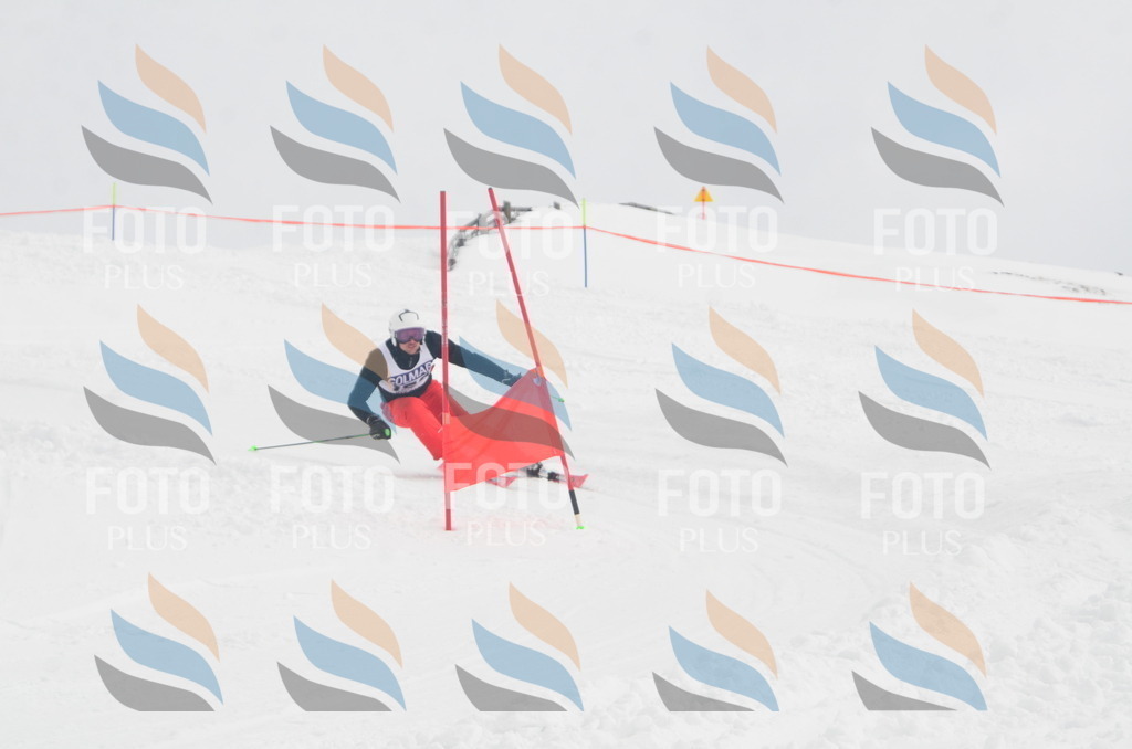 A6263 | holidayphoto