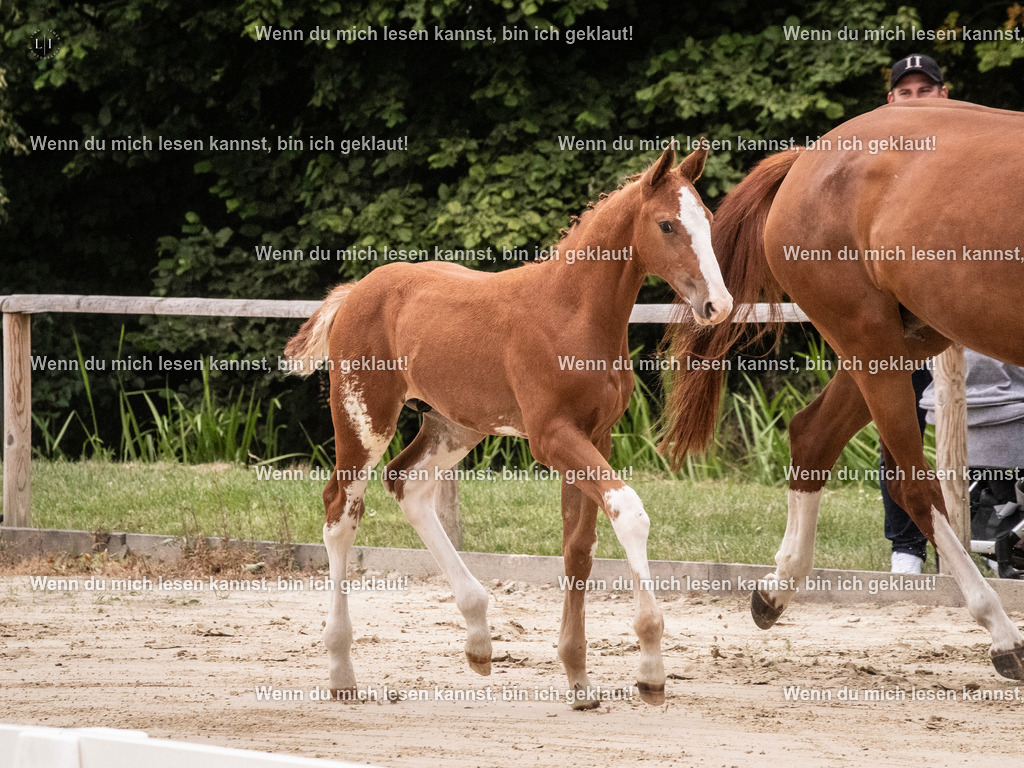 A10I9694 | photographylinaismer - Realisiert mit Pictrs.com