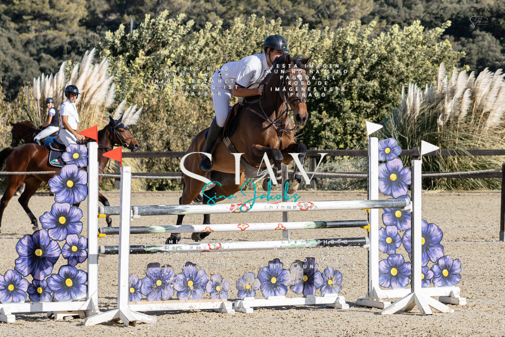 IMG_0093 | s-jay-photography - Realisiert mit Pictrs.com