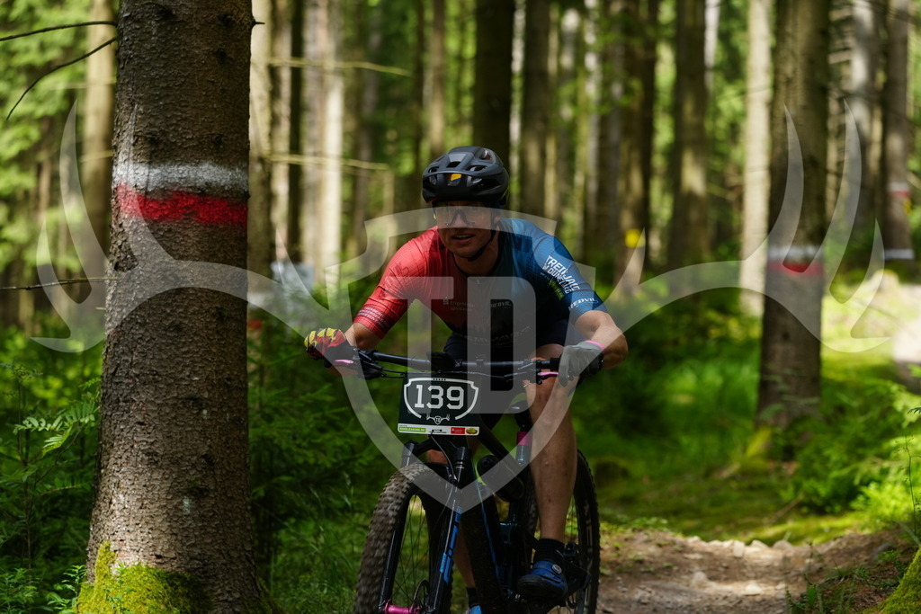 FC100246 | Fotogalerie der Treibjagd im Dunkelwald - Dein MTB Etappenrennen im Erzgebirge - Realisiert mit Pictrs.com