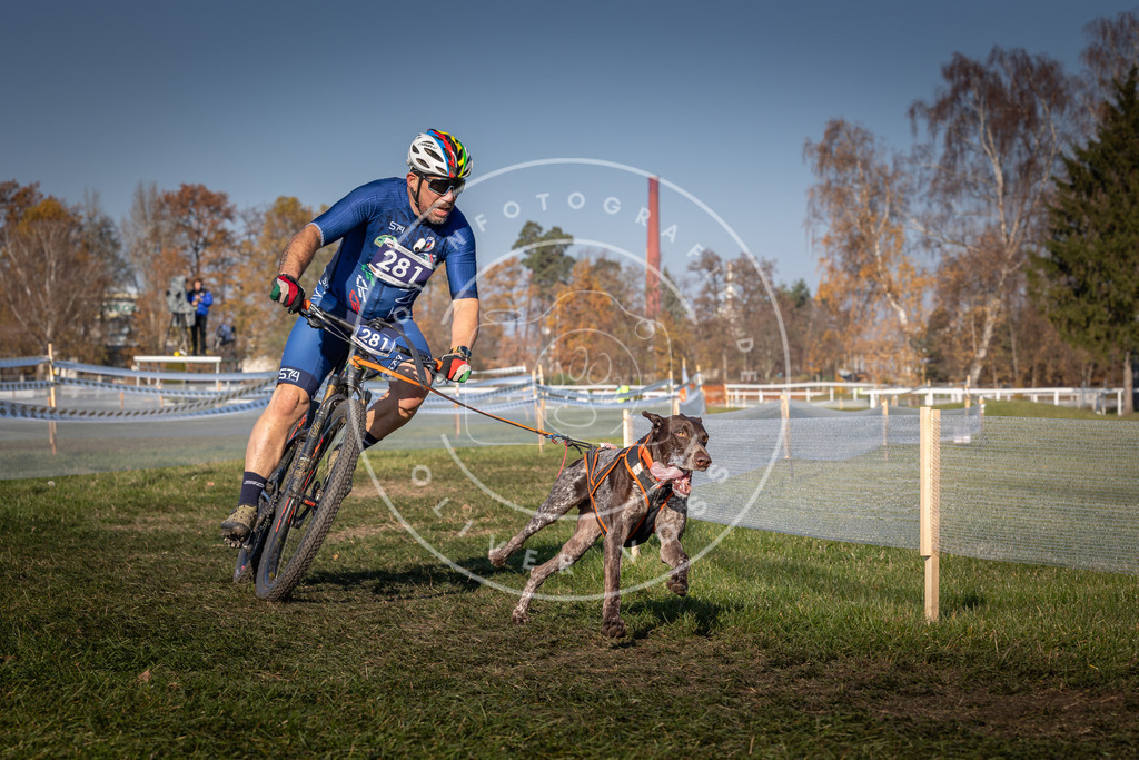CaniXpix_0L8A6393 | Hundefotografie, Tierfotograf, Pfotenfotografie, Fotoshooting Hund, Hunde Portrait, Hundesport, Hundeportraits, Heideshooting, Hunde, Sportfotograf, Hundefotograf, Turnierhundsport, THS,  - Realisiert mit Pictrs.com