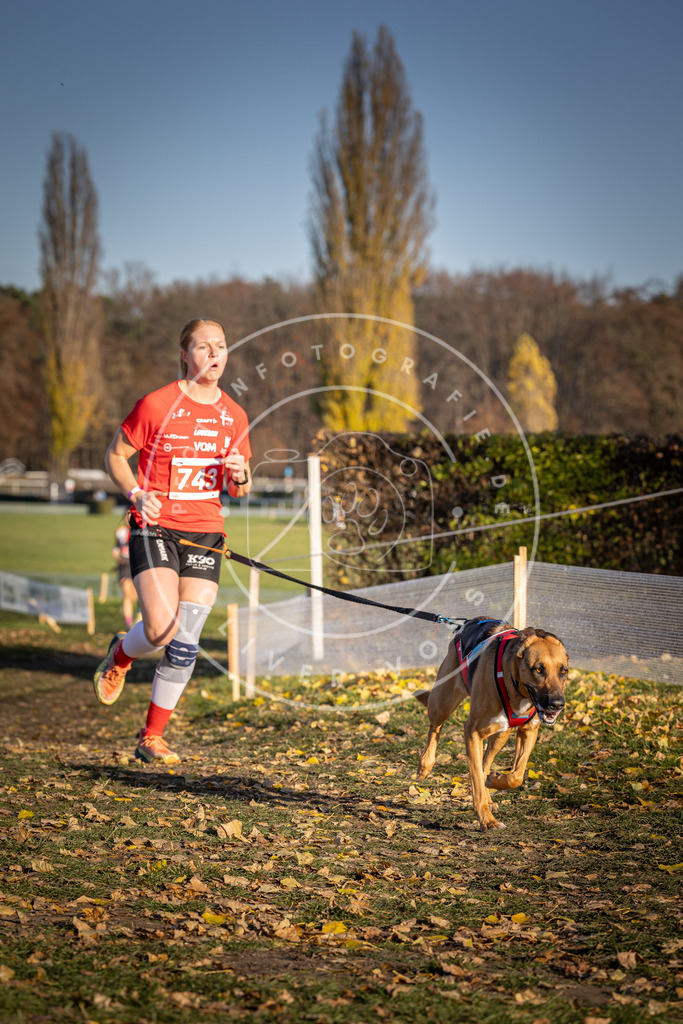CaniXpix_DV3A2264 | Hundefotografie, Tierfotograf, Pfotenfotografie, Fotoshooting Hund, Hunde Portrait, Hundesport, Hundeportraits, Heideshooting, Hunde, Sportfotograf, Hundefotograf, Turnierhundsport, THS,  - Realisiert mit Pictrs.com