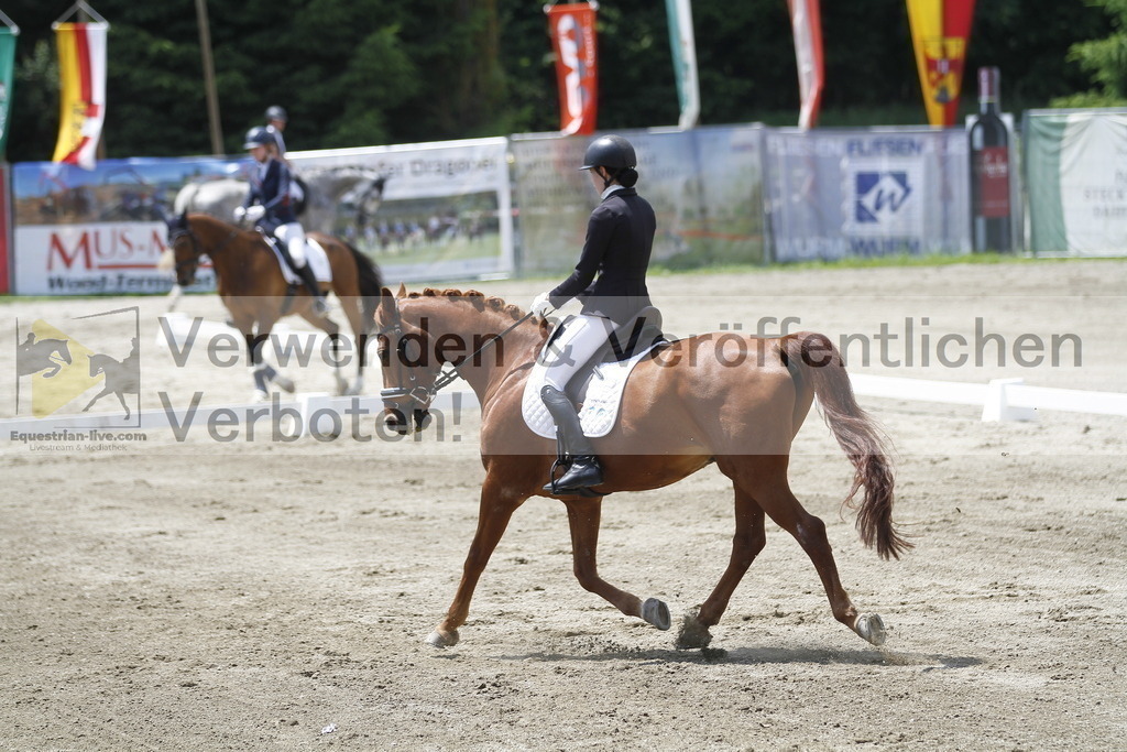 _MG_1353 | equestrian-live-com