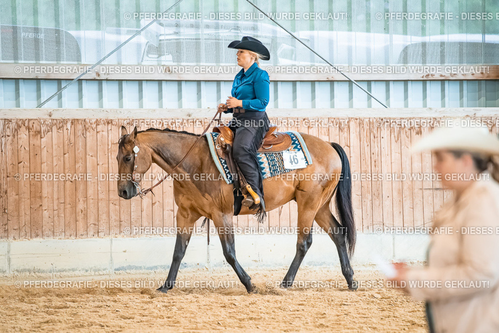 DSC00516 | Pferdegrafie