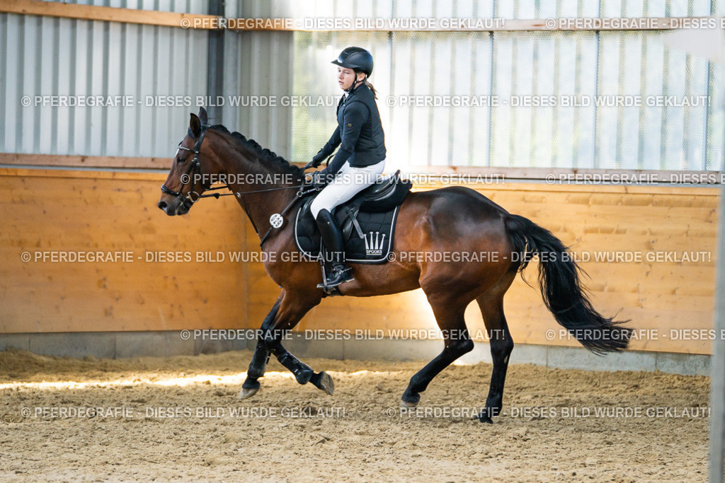 DSC01749 | Pferdegrafie